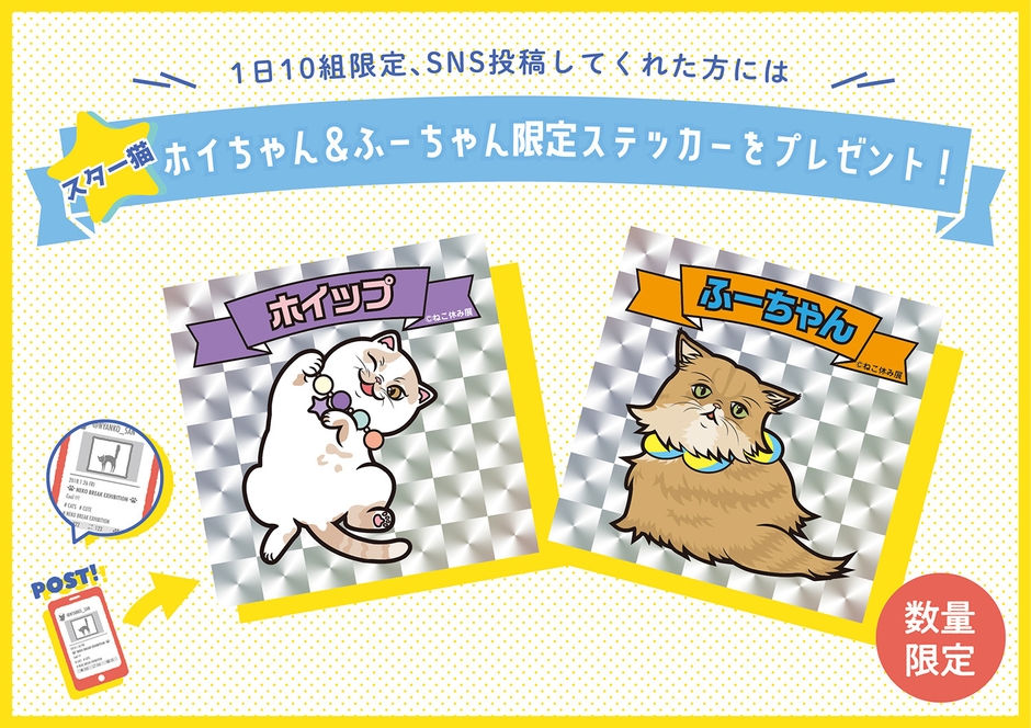 スター猫のオリジナルステッカープレゼント