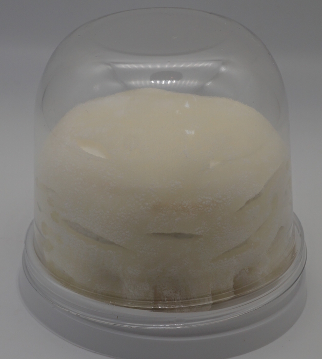 焼きりんごショート大福1