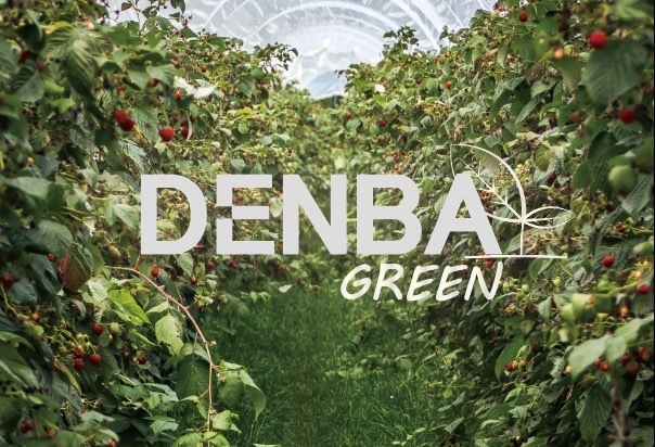 DENBA GREEN