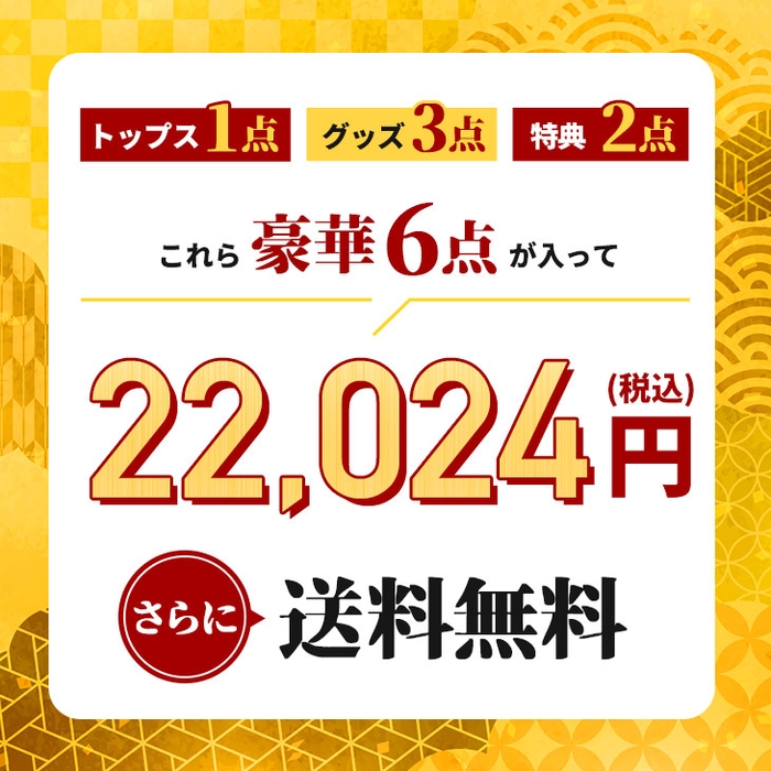 販売価格：22,024円（税込）送料無料