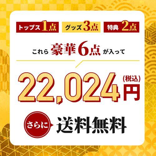 販売価格：22,024円（税込）送料無料
