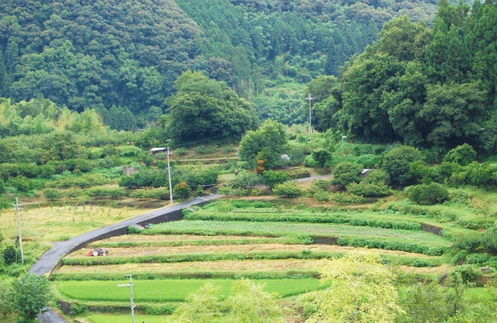 和歌山県