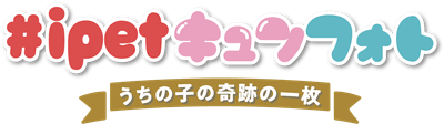キュンフォトLogo