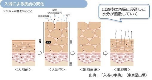 入浴による皮膚の変化