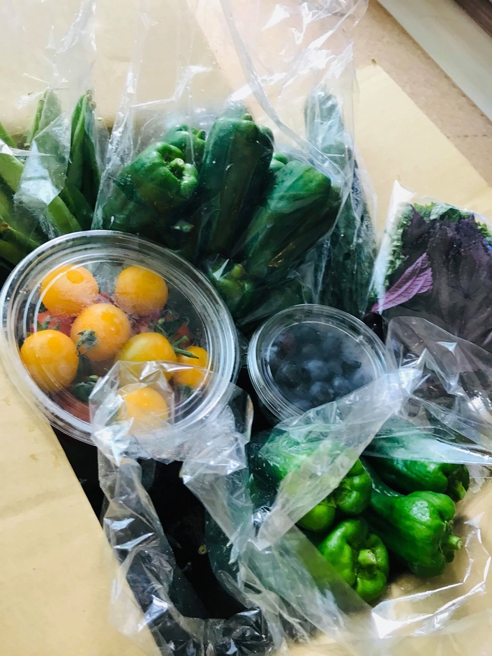 色鮮やかで新鮮なお野菜が詰まっています。