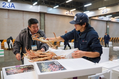甲羅本店の職人が現地で活ガニを厳選
