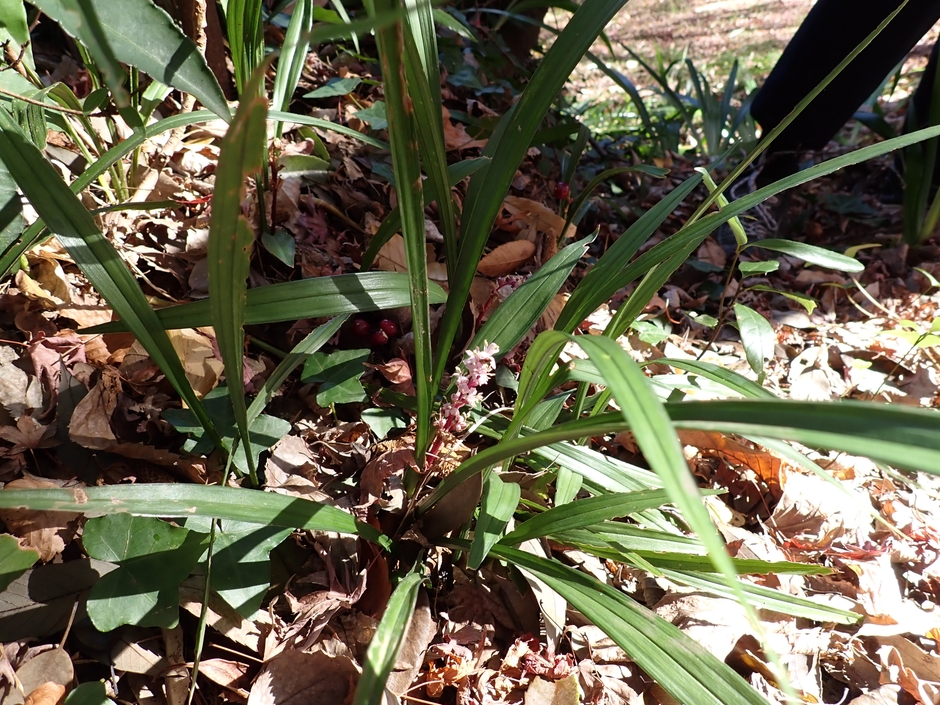 過去のイベントの様子