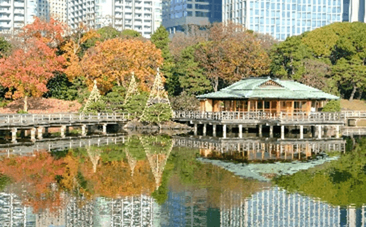 浜離宮恩賜庭園