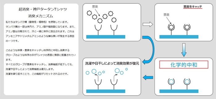 消臭メカニズム