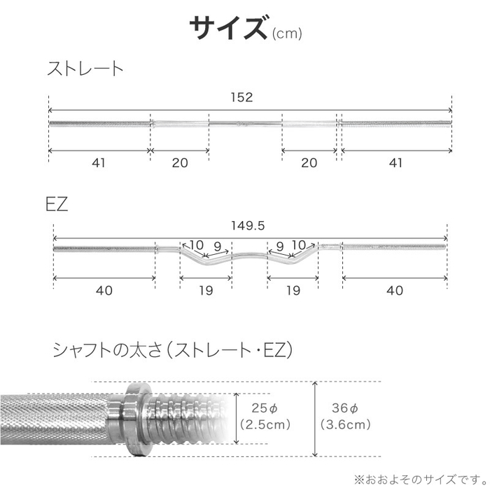 サイズ