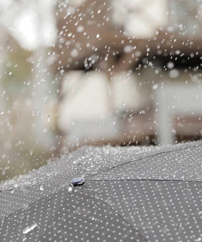 雨粒がコロコロ流れ落ちます