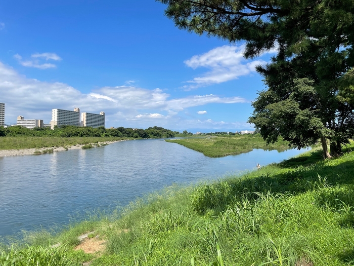 狛江の五本松からの眺め（多摩川）