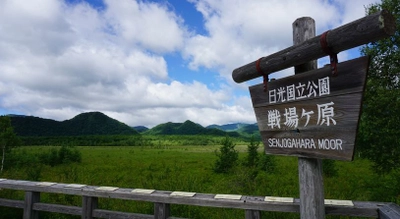 本州最大の高層湿原「尾瀬」と人気のハイクコース 「戦場ヶ原」を歩くいいとこどりハイクツアー