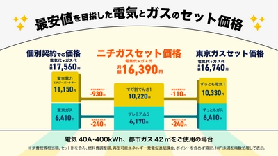 ニチガス、業界最安値を目指す新プラン「でガ割」で ご家庭など低圧向け電気小売事業に本格参入！