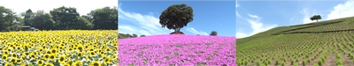 夏から秋 千葉県の絶景・花スポット特集動画を8月4日より公開！ 【Pick Up CHIBA】 千葉を彩る自然の宝石たちをチーバくんがご紹介