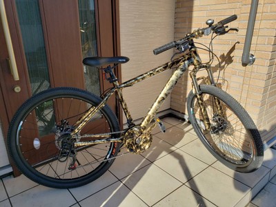 金箔美ペイント後(自転車)