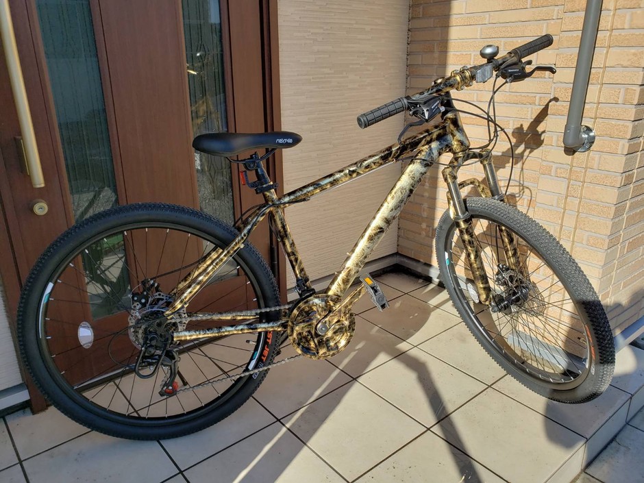 金箔美ペイント後(自転車)