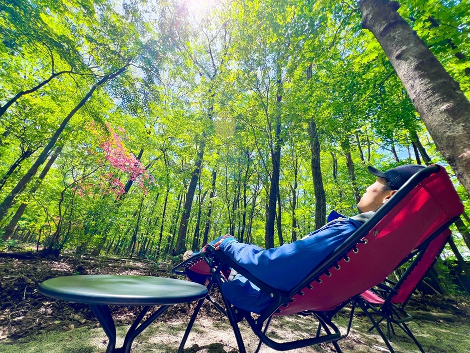 「フォレスト・チェアリング」