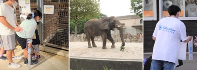 ジブラルタ生命、「ドリームナイト・アット・ザ・ズー」の 開催動物園・水族館を2023年もサポート