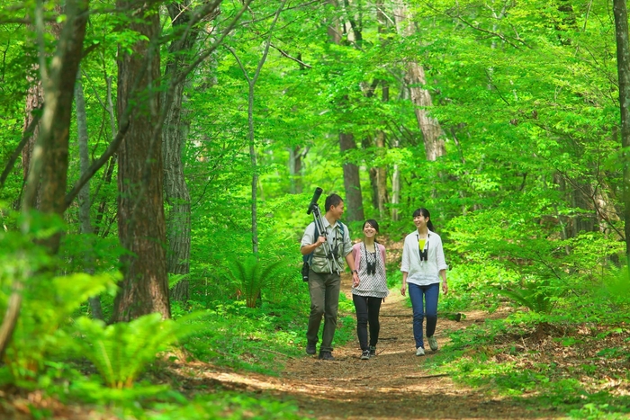 ガイドと巡る軽井沢野鳥の森