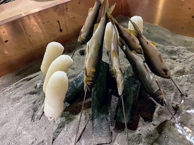 囲炉裏で味わう田舎料理
