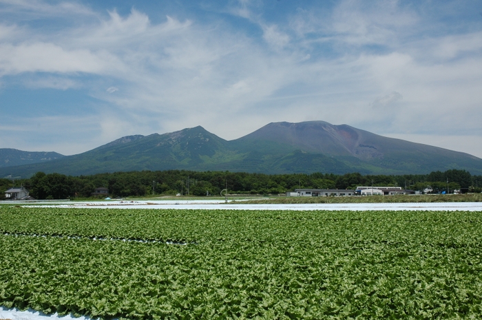 浅間の麓、高原野菜と自然の町