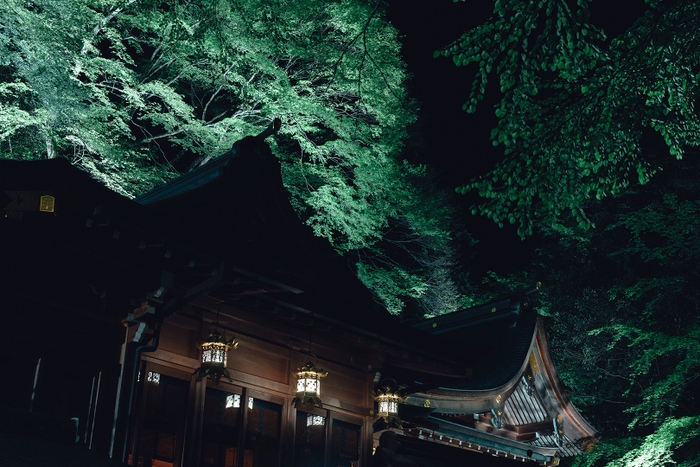 貴船神社　本殿　ライトアップ