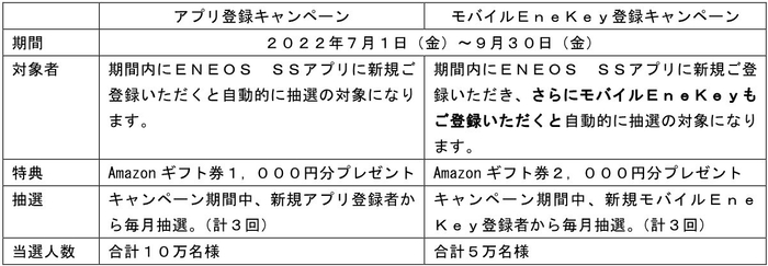 キャンペーン概要