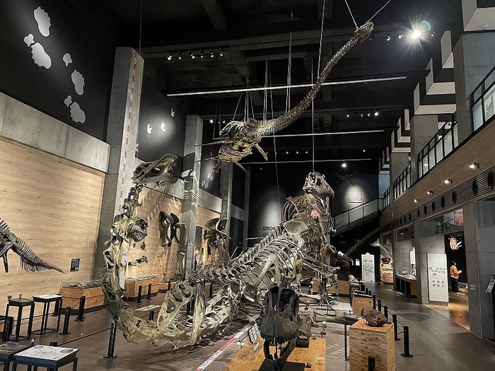 約2,000点の大展示!博物館リニューアル!