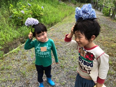 森を探検していろいろな発見をしよう!