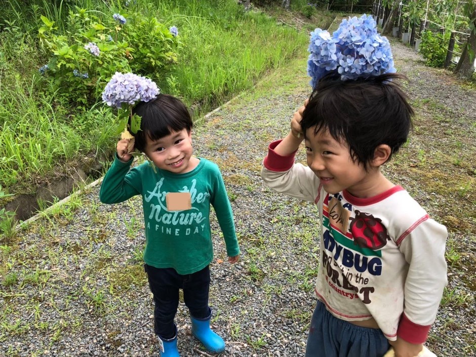 森を探検していろいろな発見をしよう!