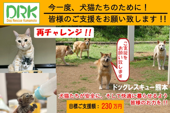 クラウドファンディング