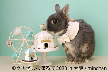 1年ぶりに大阪上陸！もふもふ可愛いうさぎ作品が集結する 「うさぎしんぼる展 2023」4月14日～4月23日開催！ 過去最大63組のクリエイターが競演