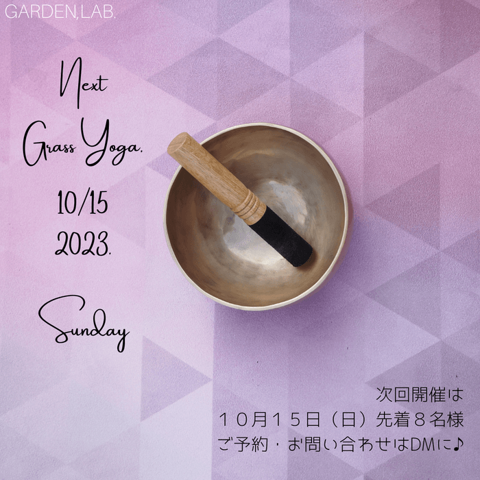 ヨガ開催日程:10月15日