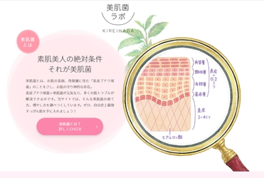 これからの美肌は「菌」がつくる　 美肌菌の育て方、増やし方のサイト 「美肌菌ラボ～キレイハダ～」が公開