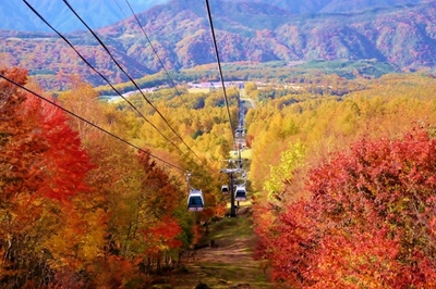 ［写真：ハンター紅葉ゴンドラの紅葉］