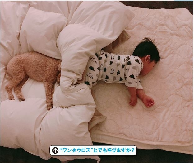 ちょっとまってw ケンタウロスみたいになってるから