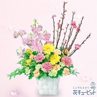 なぜひな祭りは桃の節句と呼ばれているの ひな祭りに飾りたいお花 Newscast