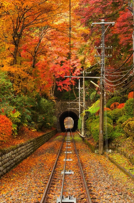高尾山の紅葉