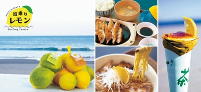『道の駅そらっと牧之原』に牧之原市の新たな特産品 “波乗りレモン”の波が遂に到来！ 「波乗りレモンフェア」を2/7～23で開催！ 期間限定の爽やかな味わいをご提供