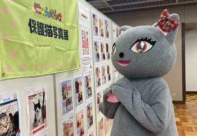 保護猫写真展