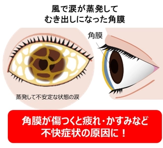 【実験】夏は「角膜の傷リスク」の高いシーンが多い！？ ハンディ扇風機で短時間でも涙が蒸発、 「角膜の傷リスク」が高まっていることが明らかに　 夏のアイケアを眼科医有田 玲子先生がご紹介