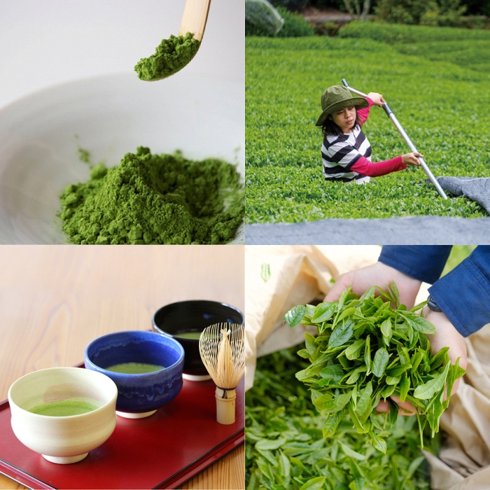 自家栽培抹茶100%使用