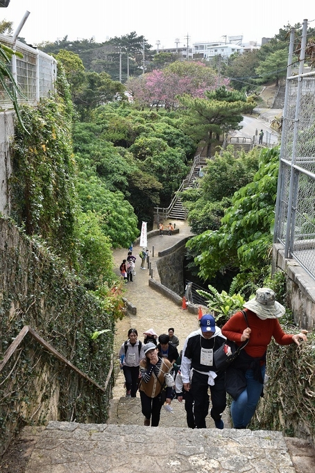 ウォーキング風景
