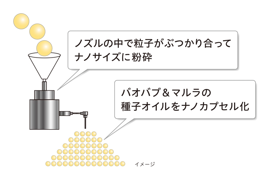 オイルクラッシュ製法イメージ図