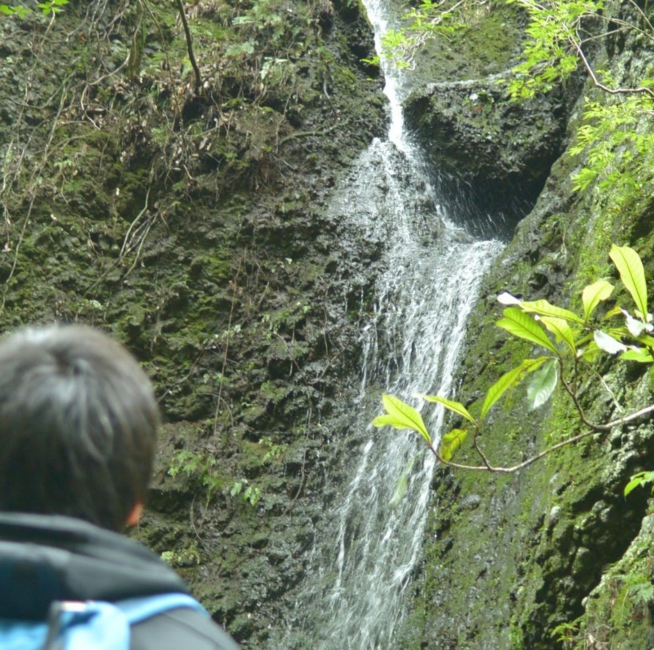 高野山コース幻の滝