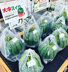 売れ残り新鮮野菜と果物をレスキュープロジェクトのクラウドファンディング実施中です！