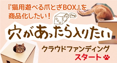 猫用遊べる爪とぎボックス「穴があったら入りたい」 クラウドファンディングを開始
