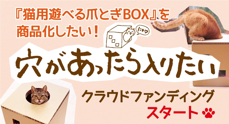 猫用遊べる爪とぎボックス「穴があったら入りたい」 クラウドファンディングを開始