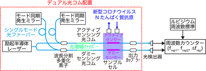 図2　デュアル光コムを用いたアクティブ・ダミー温度補償